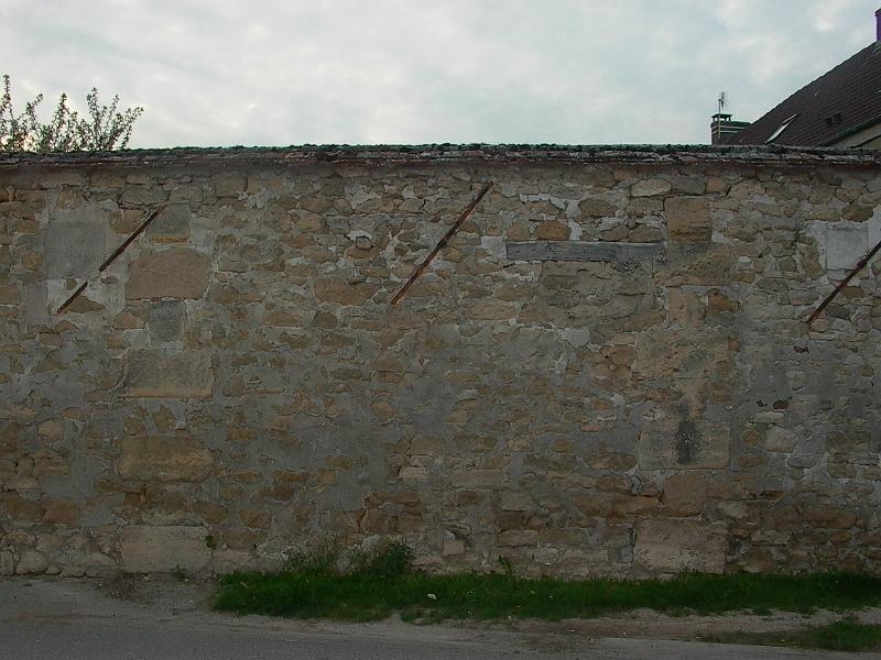 P1040510.JPG
